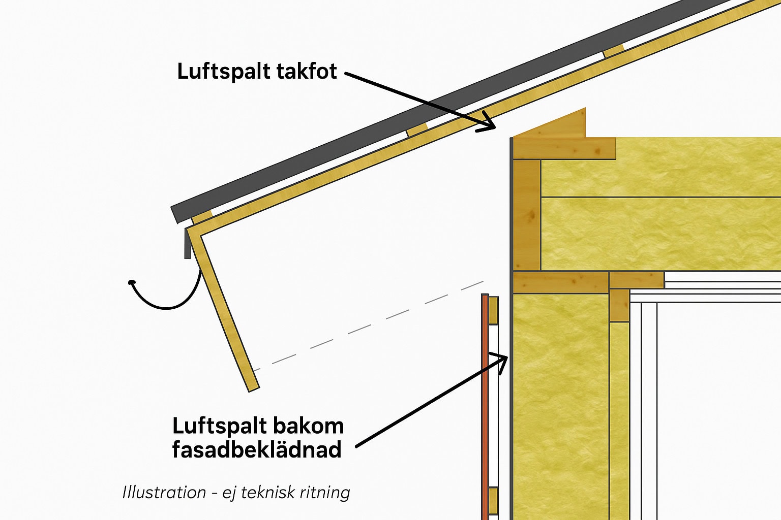 Illustration av luftspalt i takfot och bakom fasadbeklädnad i en ventilerad träregelvägg.